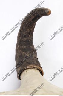 skull antler 0007